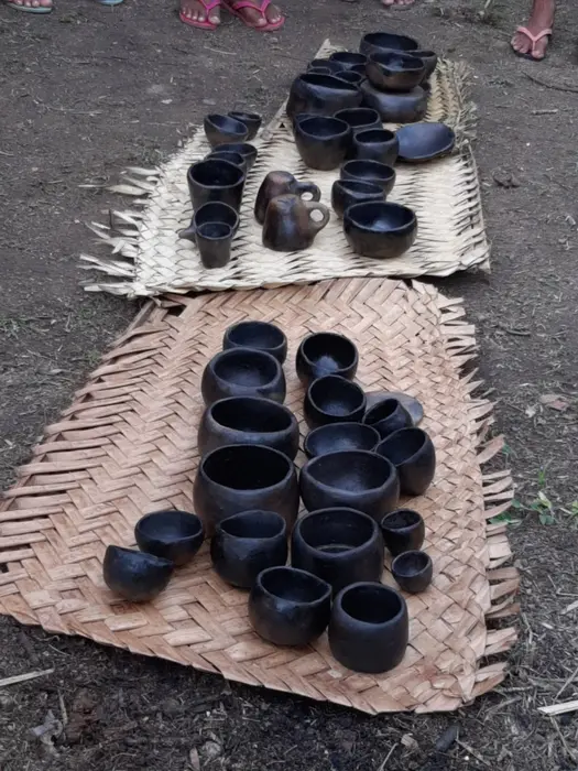 Associação das Guerreiras Indígenas de Rondônia