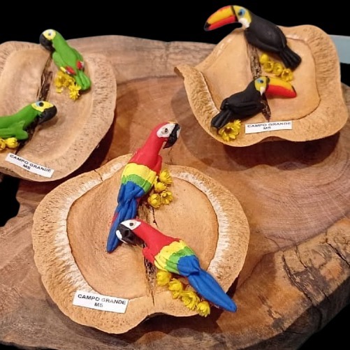 União Estadual dos Artesãos de Mato Grosso do Sul