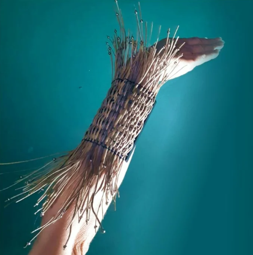 Iucana Mouco